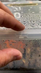 223K views · 9.4K reactions | This is ambush predation! Let’s feed a...