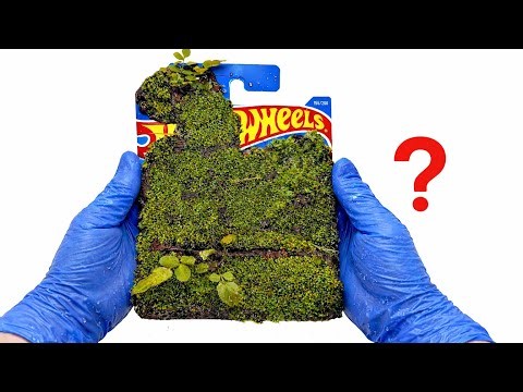 I Cleaned a Moss-Covered Hot Wheels | Satisfying Restoration ASMR