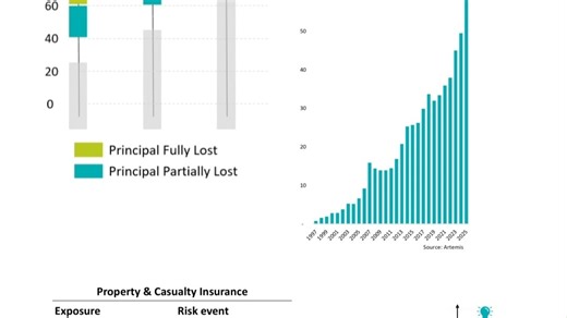 FRM Part 1, Book 3 Chapter 2, Insurance and Pension Plans