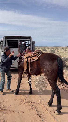 2.2M views · 10K reactions | Love watching this cowboy ride! #Reels #Horses #Navajo #BeautifulCountry | The Farm on Route 66 | Facebook