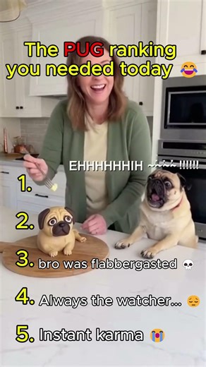 The pug ranking you needed today 😂 #funny #dog