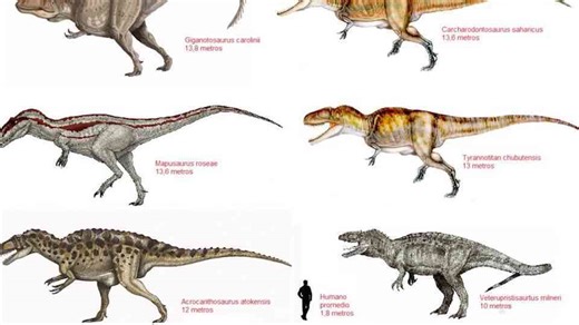 Madagascar’s most disturbing dinosaur - and the unanswered questions in the bones