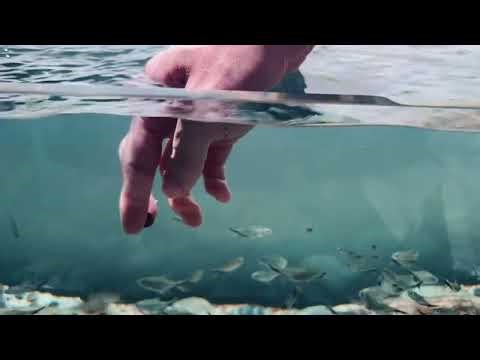 DIY Home Aquarium | How to Build Your Own Fish Tank at Home