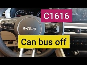 C1616: Can bus off ( C-CAN) KIA K5