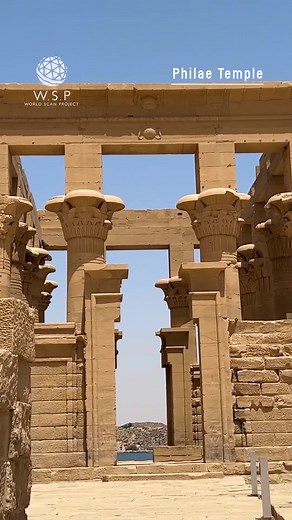 TikTokでWorldscanprojectさんをチェック！