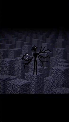 Minecraft Broken Script and WonderLand.Jar Edit #minecraft #brokenscript #edit #famous #viral #fyp