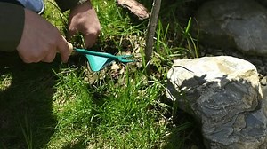 Weeding Process Hands Using Garden Tools Stock Footage Video (100% Royalty-free) 3996632231 | Shutterstock