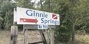Ginnie Springs reaches capacity with COVID-19 regulations in place