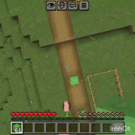 😎Minecraft Pro mlg 🎮