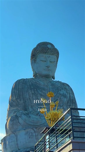📍 Nofukuji Temple 🇯🇵 Hyogo Purified by the sacred presence of Great Buddha. ✨ Please follow 👉 @kazuya_journey_japan Please share if you like it! #JapanTravel #Hyogo #兵庫 #日本一周 #絶景