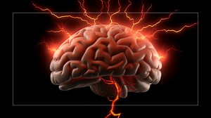 5.6K views · 132 reactions | What sets trauma apart from regular bad experiences? A leading neuroscientist explains. | The Well | Facebook