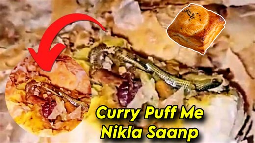 3.5K views · 33 reactions | Telangana Ke Jedcherla Ki Ek Bakery Se Khareede Gaye Curry Puff Me Nikla Saanp. | Muslim Media Studio | Facebook