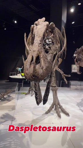 Exploring Daspletosaurus: The Fleshy Frightful Lizard