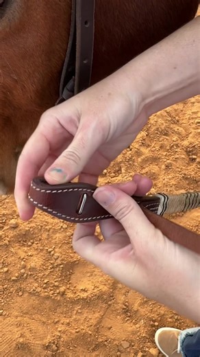 Quick Change Split Reins for Effortless Horse Transition