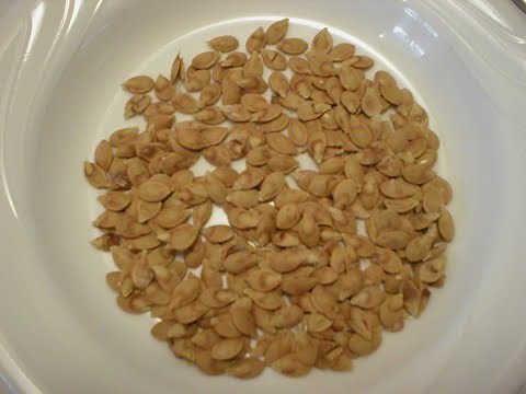 Roasted Acorn Squash Seeds (No Oil)