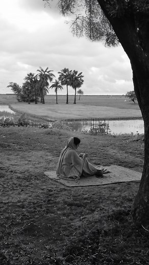 Asian Cinema Archive on Instagram: "The Apu Trilogy. Pather Panchali (1955), Aparajito (1956) and The World of Apu (1959), from Satyajit Ray. Music - Transience by Yannick Lowack. #asiancinema #cinephile #cinephilecommuníty #indiancinema"
