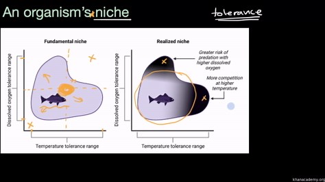 An organism's niche