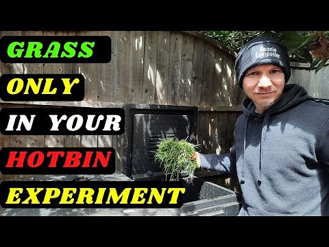 Grass Only In The Hotbin (Experiment ‪@BeanieComposter‬)