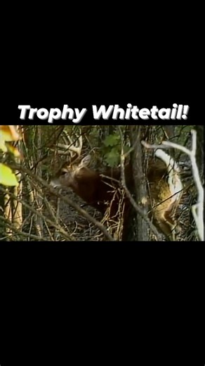 Roger Raglin Whitetail! | Stoney Wolf Outdoors