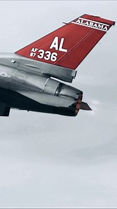 4.8K views · 13K reactions | — R E D T A I L S — Fini flights are...