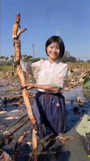 The Hidden Truth About Lotus Cultivation Nobody Tells You #lotus #farming #lotusstem