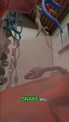 What If You Swallow A Snake (ALIVE)?#3danimation