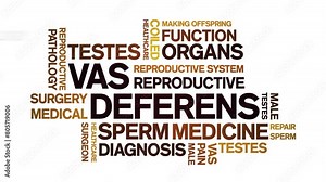 Vas Deferens animated word cloud;text design animation tag kinetic typography seamless loop.