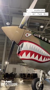 Happy Shark Week🦈 P-40 Warhawks became famous for their shark mouth nose art, which stared down any approaching threats. Shark teeth were the markings of the Flying Tigers, also known as the American Volunteer Group, during their service in the early 1940s. Visit Pearl Harbor Aviation Museum to see our P-40 and learn more about the “sharks” of the sky! #sharkweek #pearlharboraviationmuseum #p40warhawk #p40 | Pearl Harbor Aviation Museum