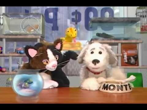 Nickelodeon "Pets Unleashed" bumpers (2004)