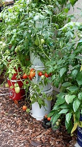 268K views · 5.1K reactions | Pump VS Off Grid ❤ #towergarden #offgrid #gardening #hydroponics #diy | Keep on Growin' | Facebook