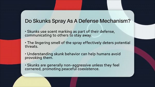 Do Skunks Spray As A Defense Mechanism? - The Wild Life Explorer