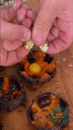 🌊 Outdoor Cooking: Sea Urchin Feast by the Shore! 🦀🔥