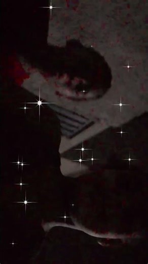 19 de dezembro de 2025