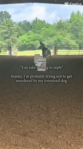 😁🙂😊 #horse #horse #equestrian #mylitlepony #horsefan #rodeo #funedit #grwm #fyp #cutie #ponygirl