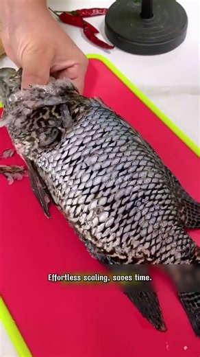 🐟 Efficient 2-in-1 Stainless Steel Fish Scaler & Cleaner #FishScaler #KitchenTools #SeafoodPrep