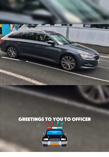 Monkey Bike Adventures in New Zealand