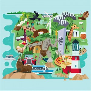 13K views · 435 reactions | Explore the wider Wellington region with these special, one-of-a-kind deals. | WellingtonNZ | Facebook