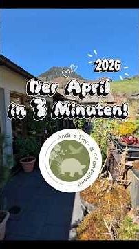 🌷🌦️ Rückblick auf den April 🌿#ramsaubeiberchtesgaden #andistierundpflanzenwelt #aprilwetter