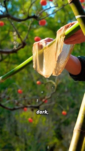 He turned Firewood into Noodles - Fern Root Noodles