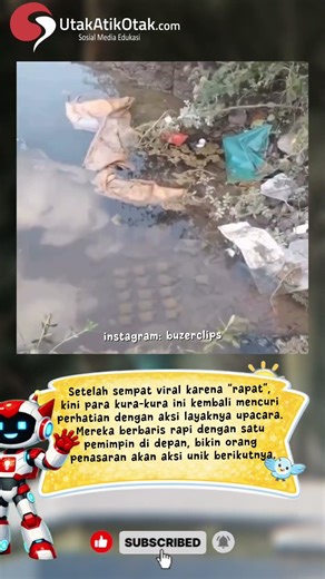Jangan Di Ganggu Masih Rapat #shortsfeed #animals #wildlife #wildanimals #trending #trendingshorts
