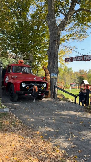 Will's Cackleberry Castle Pumpkin Farm on Reels