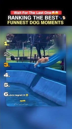 DON'T CLICK THE SOUND 😭!! Ranking best dog moments #sehar