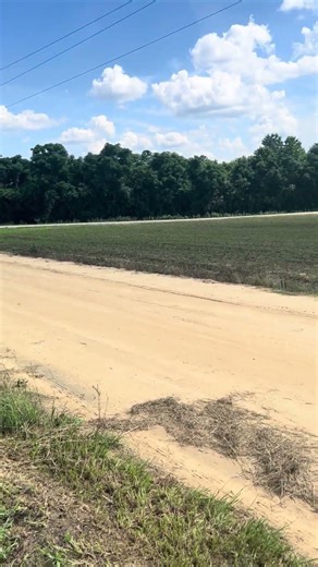 24 300sx vs 01 cr250