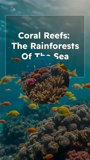 Explore Fascinating Underwater Ecosystems