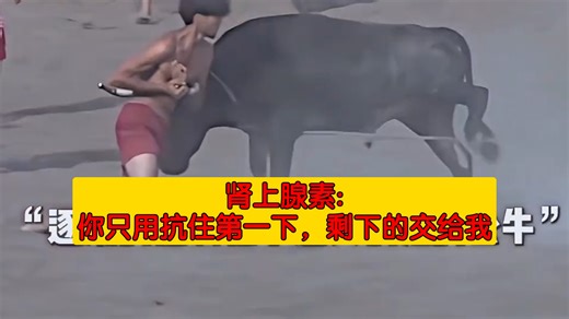 肾上腺素:你只用抗住第一下，剩下的交给我