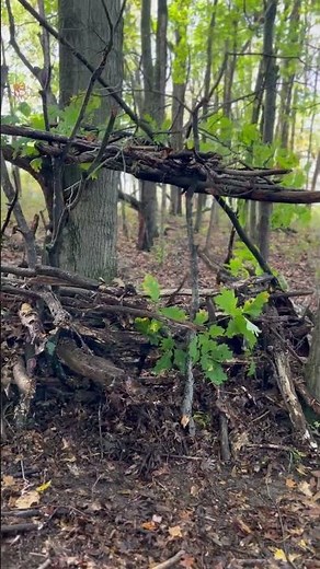 DIY Ground Blind For Deer Hunting #bushcraft