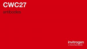 CWC27 antibodies from Thermo Fisher Scientific