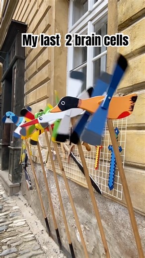 Wait for the takeoff... 🛫🐦 #shorts #mood #wings #memes #braincells #loop