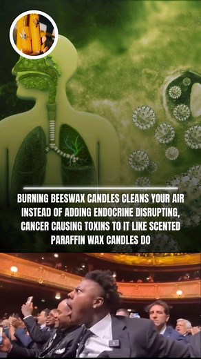 532K views · 774 reactions | Burning beeswax candles can help clean...