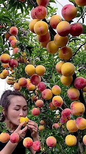 China’s Incredible Genetically Modified Fruits, Must-See Unique Creations! #plants #shorts #farming #instagram #reels | The Facts Hub